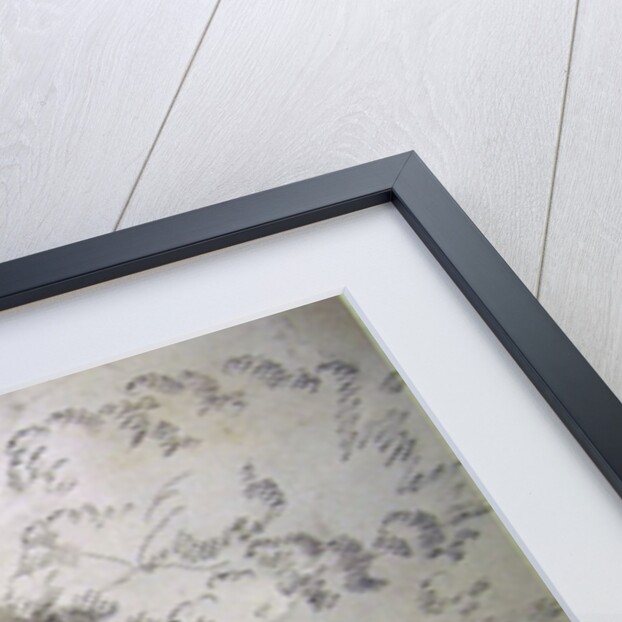 Dock Plants by a shaded Stream by John White Abbott