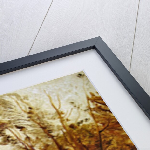 View in Painshill Park, Surrey by Thomas Creswick