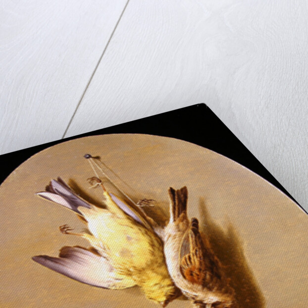 A Trompe L'Oeil of Dead Songbirds by Jean Joseph Xavier Bidauld