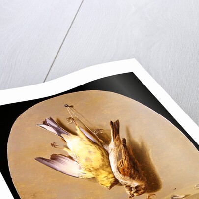 A Trompe L'Oeil of Dead Songbirds by Jean Joseph Xavier Bidauld