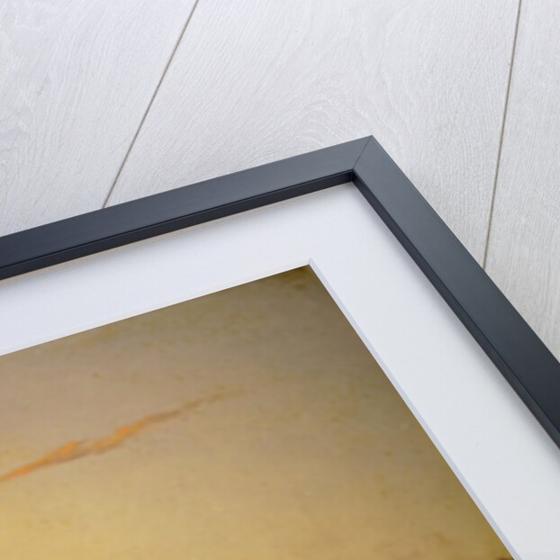 A View of Mount Fuji by Charles Wirgman