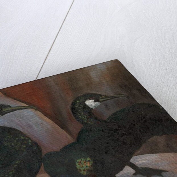 Green Cormorants, 1925 by Cedric Morris