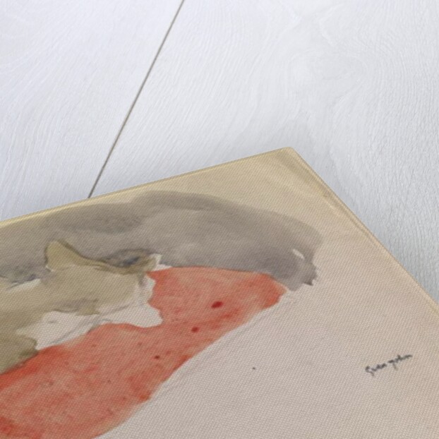 Cat Sleeping on a Red Cushion by Gwen John