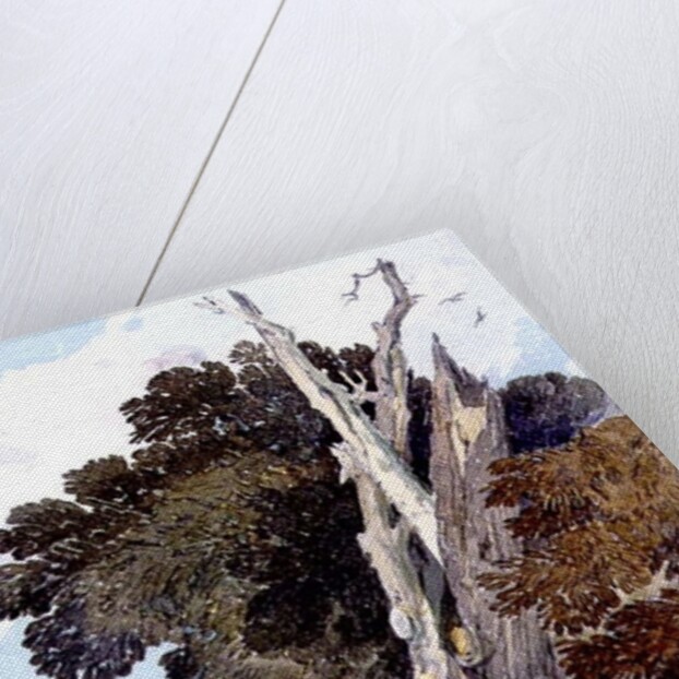 A Spanish Chestnut Tree Struck by Lightning by John Sell Cotman