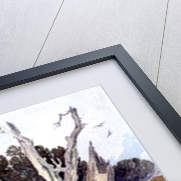 A Spanish Chestnut Tree Struck by Lightning by John Sell Cotman