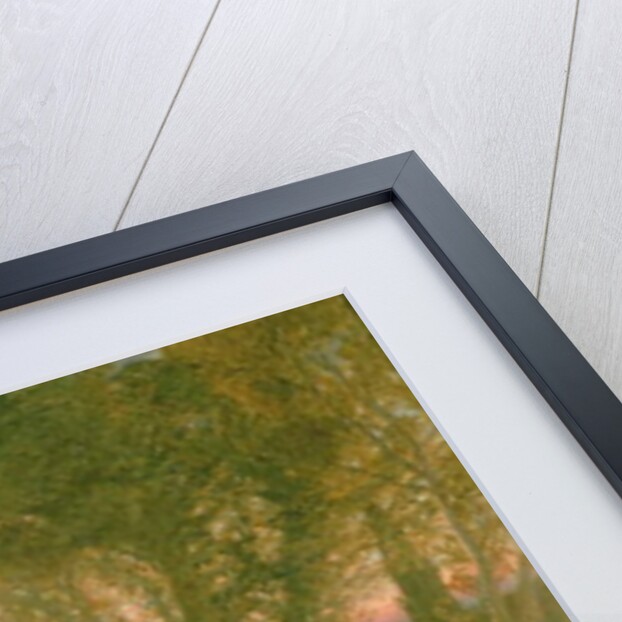 The Curfew by Samuel Palmer