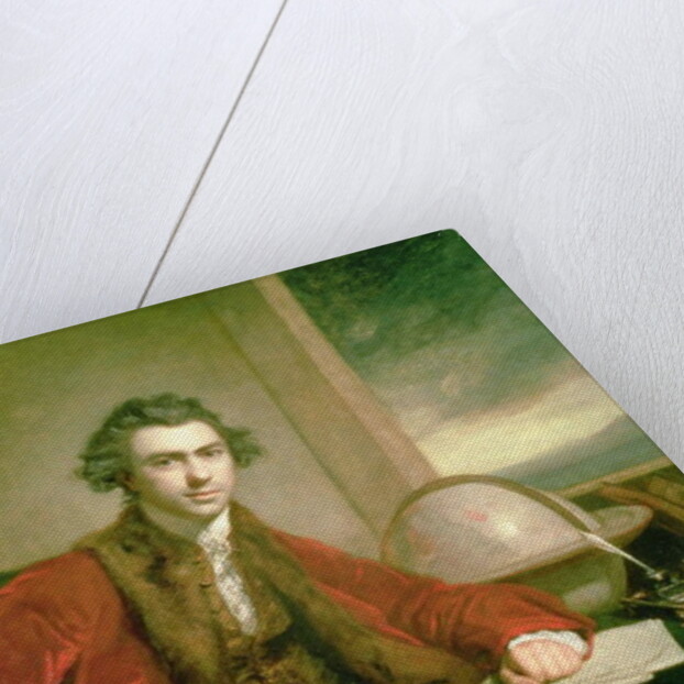 Sir Joseph Banks, 1771-72 by Joshua Reynolds