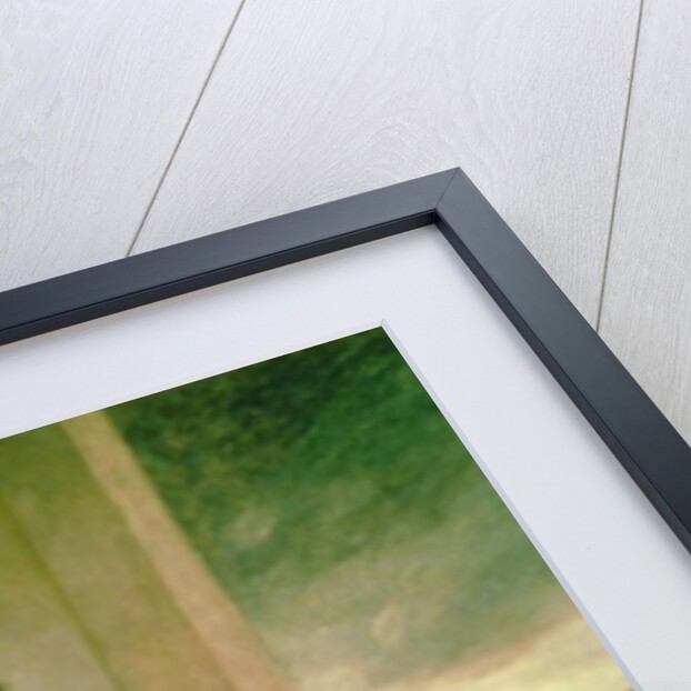 Sir Joseph Banks, 1771-72 by Joshua Reynolds