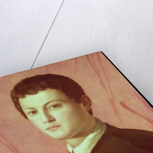 Portrait of a young man by Agnolo di Cosimo Bronzino