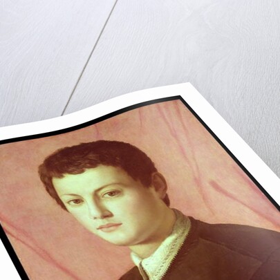 Portrait of a young man by Agnolo di Cosimo Bronzino