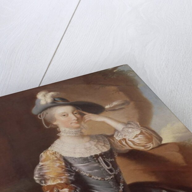 Portrait of Mrs Anne Carver by Joseph Wright of Derby
