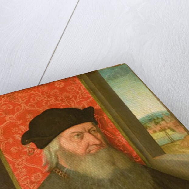 Portrait of a Nobleman by Bernhard Strigel