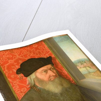 Portrait of a Nobleman by Bernhard Strigel