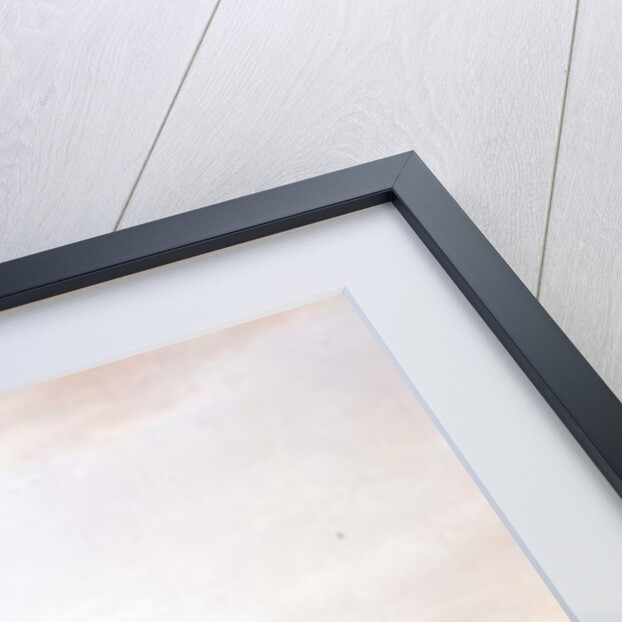 The Thames at Twickenham by Peter Tillemans