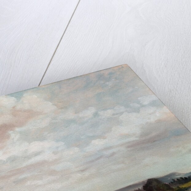 View in Wiltshire by John Constable