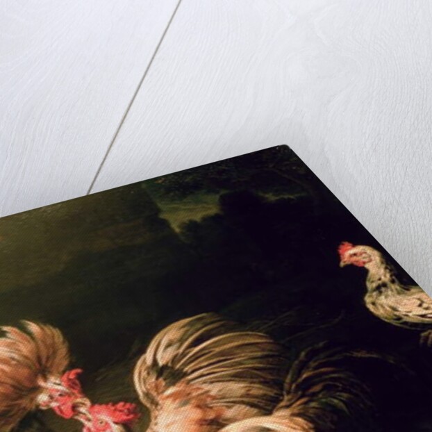 Fighting Cocks by Frans Snyders or Snijders