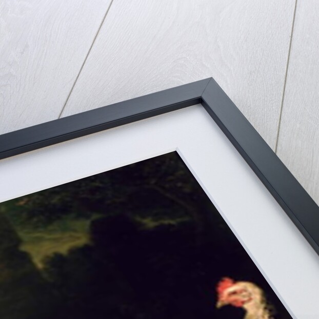 Fighting Cocks by Frans Snyders or Snijders