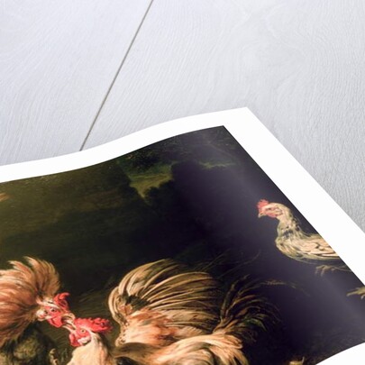 Fighting Cocks by Frans Snyders or Snijders