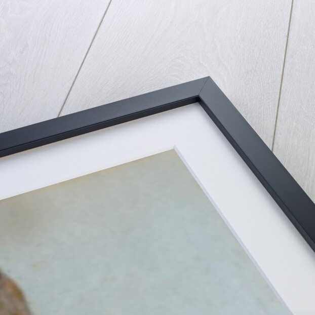 Girl in a Shawl, c.1920 by Piotr Stachiewicz