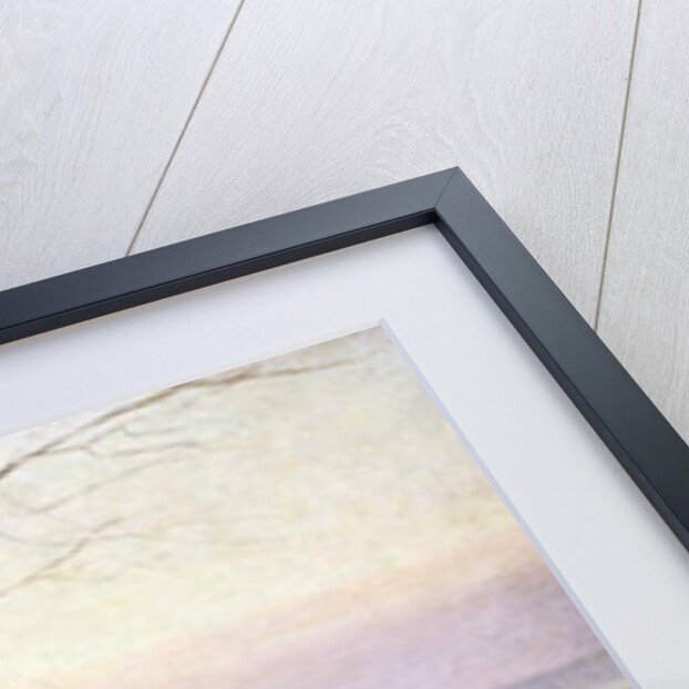 Shrine on an old willow, 1920 by Joseph Rapacki