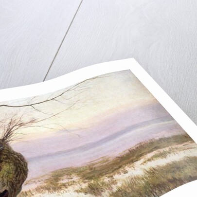 Shrine on an old willow, 1920 by Joseph Rapacki