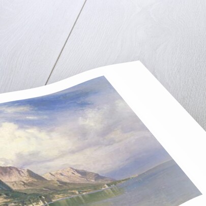 Norwegian Fjord by Hugo Knorr