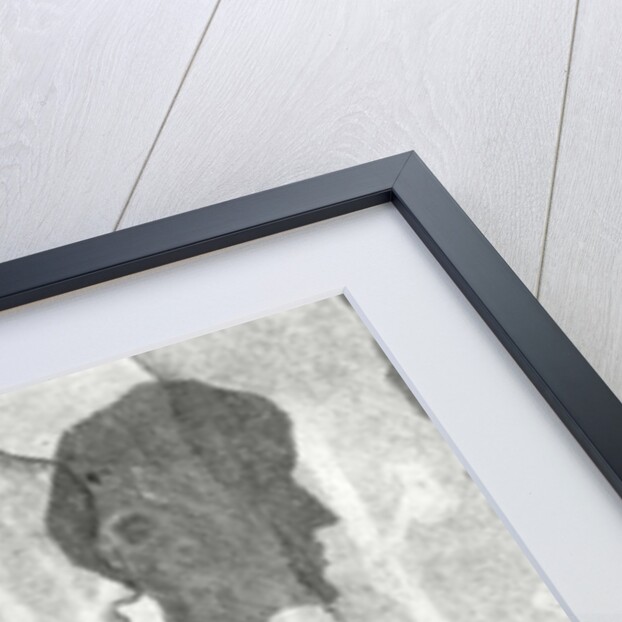 Tears I Bled VIII, 2016 by Stephen Dow