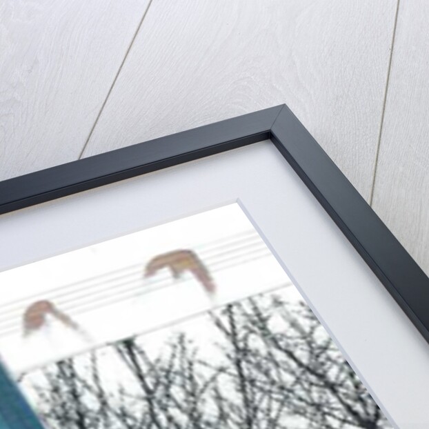 La Foret I, 2016 by Stephen Dow