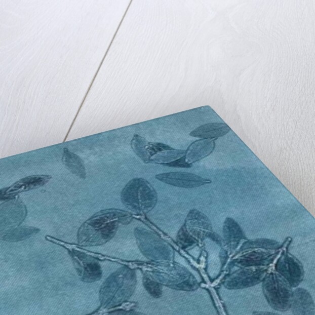 Midnight Garden I, 2015 by Stephen Dow