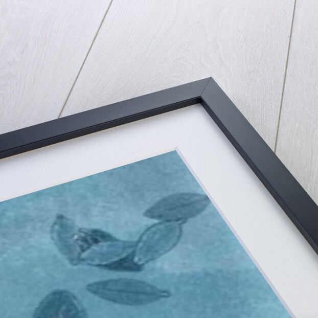 Midnight Garden I, 2015 by Stephen Dow