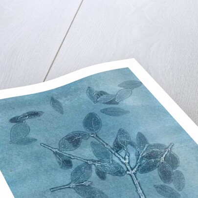 Midnight Garden I, 2015 by Stephen Dow