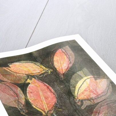 Midnight Garden V, 2015 by Stephen Dow