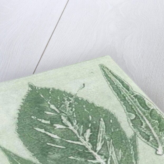 Gone IX, 2015 by Stephen Dow