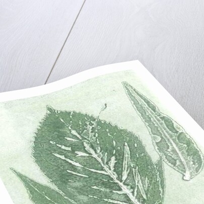 Gone IX, 2015 by Stephen Dow