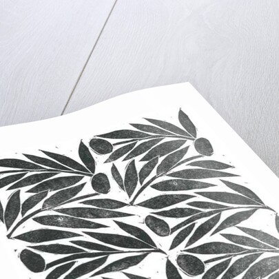 Olive Branches, 2015 by Stephen Dow