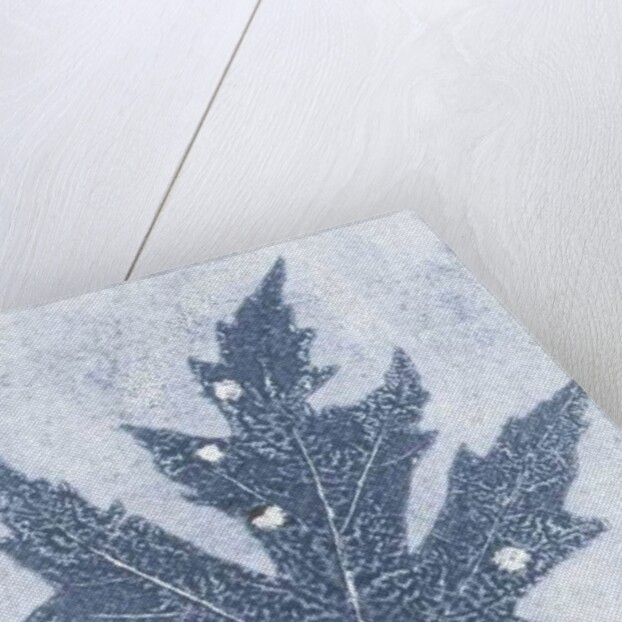 Gone II, 2015 by Stephen Dow