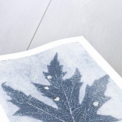 Gone II, 2015 by Stephen Dow