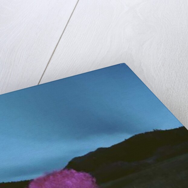 Painting in the Dark, 2015 by Carli Choi