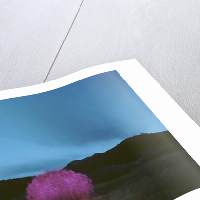 Painting in the Dark, 2015 by Carli Choi