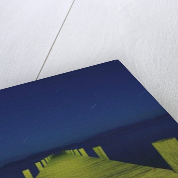 Painting in the Dark, 2015 by Carli Choi