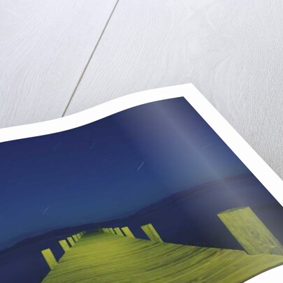 Painting in the Dark, 2015 by Carli Choi