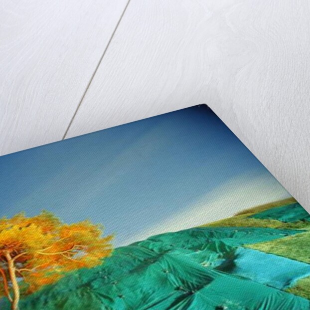 Painting in the Dark, 2011 by Carli Choi