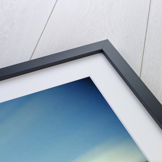 Painting in the Dark, 2011 by Carli Choi