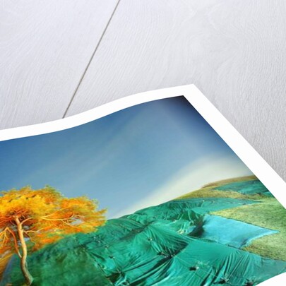 Painting in the Dark, 2011 by Carli Choi