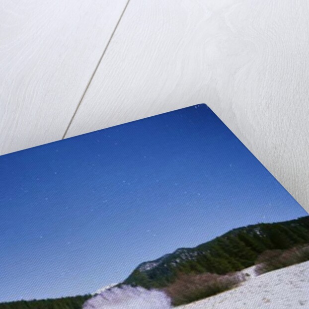 Painting in the Dark, 2015 by Carli Choi