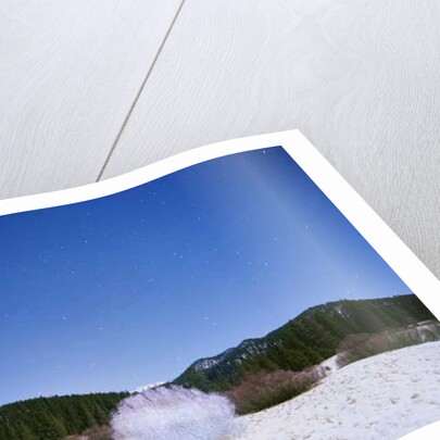 Painting in the Dark, 2015 by Carli Choi