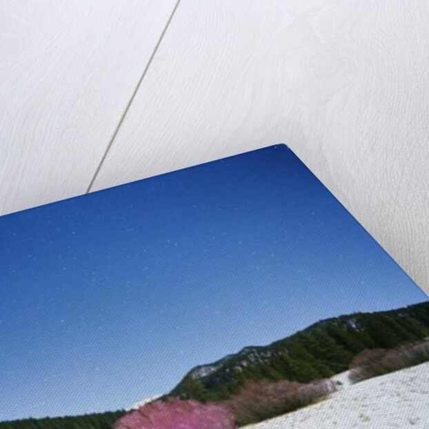 Painting in the Dark, 2015 by Carli Choi