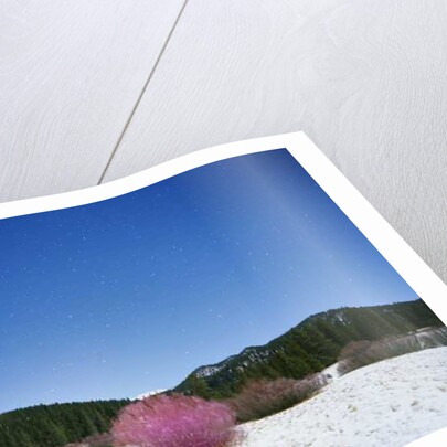 Painting in the Dark, 2015 by Carli Choi