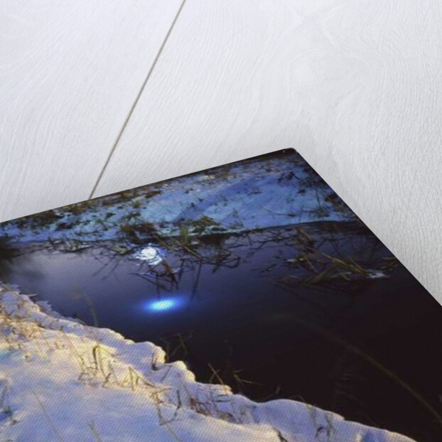 Painting in the Dark, 2011 by Carli Choi