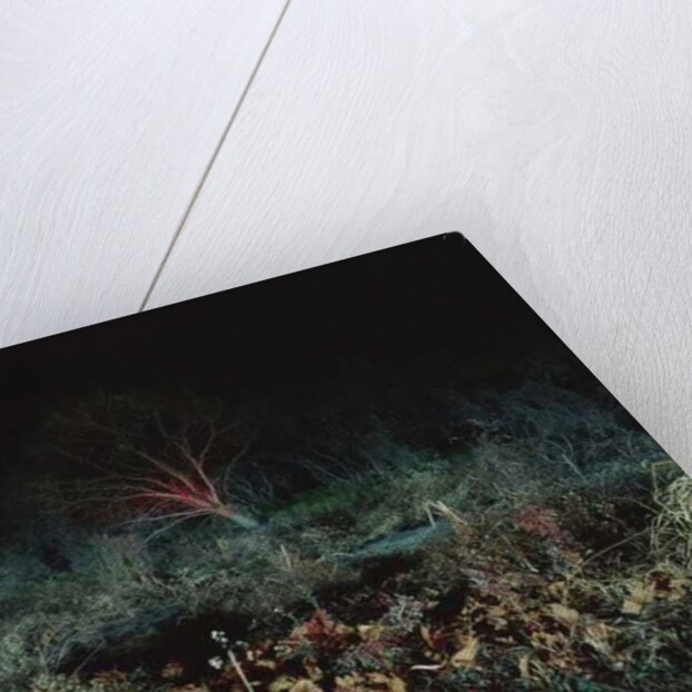 Painting in the Dark, 2011 by Carli Choi